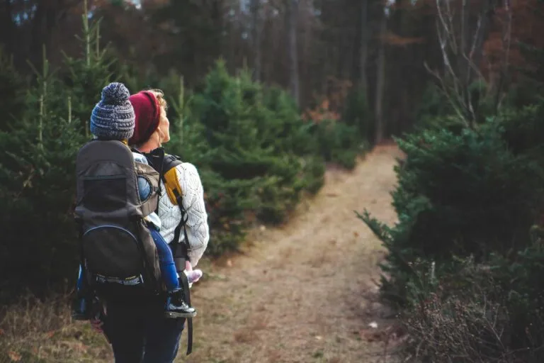 Curated destination planning