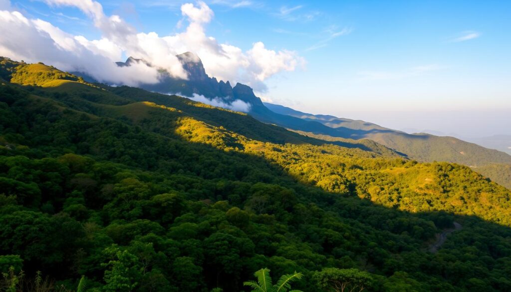 kolli hills