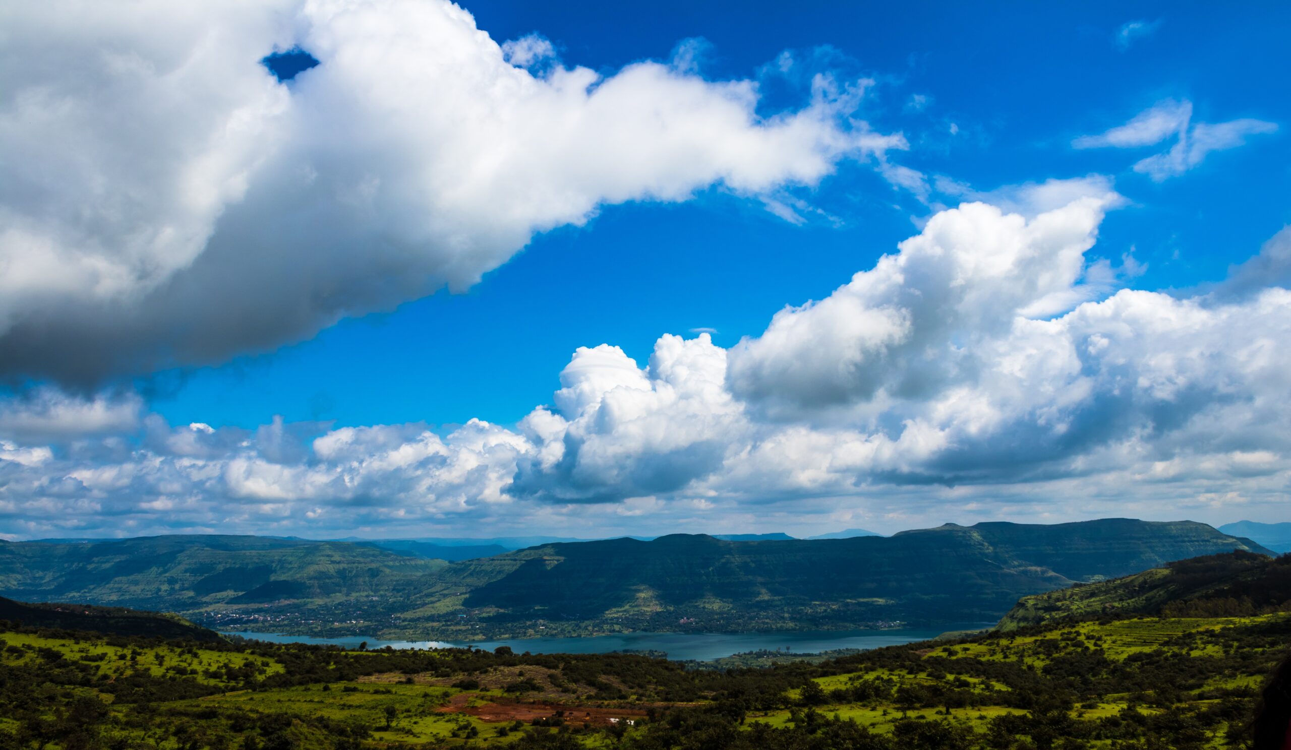 Kaas Plateau Travel Guide 2026: Best Time to Visit, Bloom Season, How to Reach & FAQs
