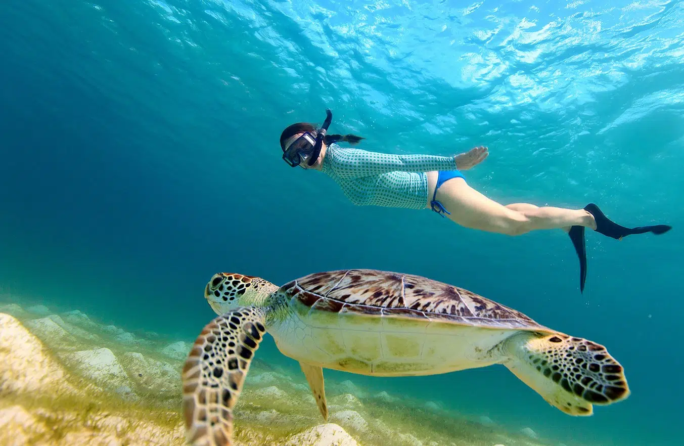 What Is the Quirimbas Archipelago Mozambique Known For? Complete Travel & Nature Guide