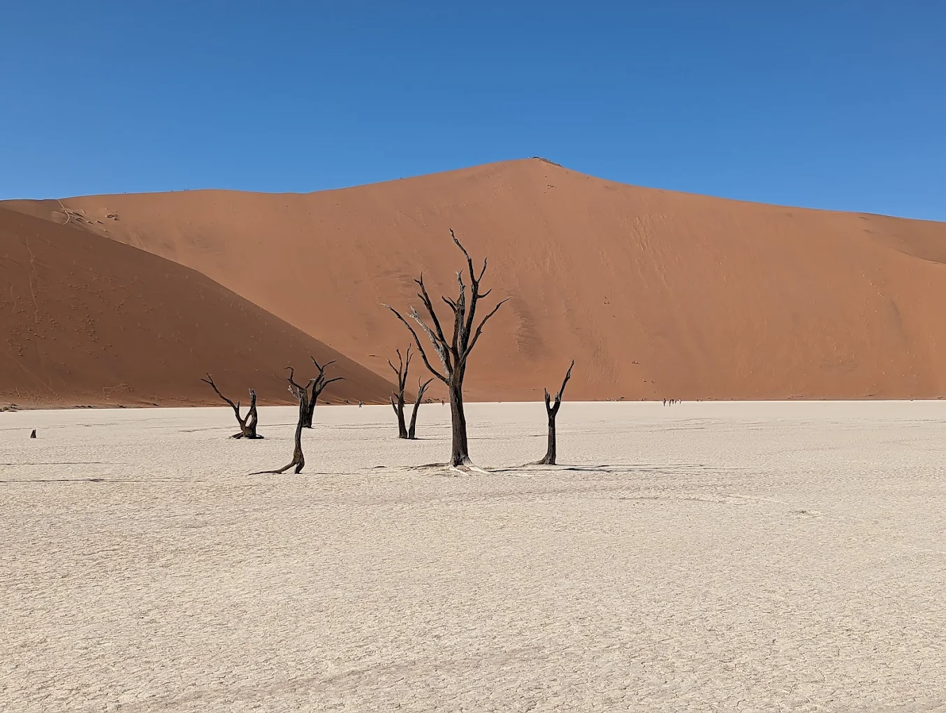 Namibia Tour Guide 2026: Best Safari, Road Trip Itinerary, Travel Tips & Hidden Gems