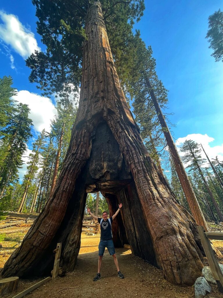 Mariposa Grove — Walk Among Giants