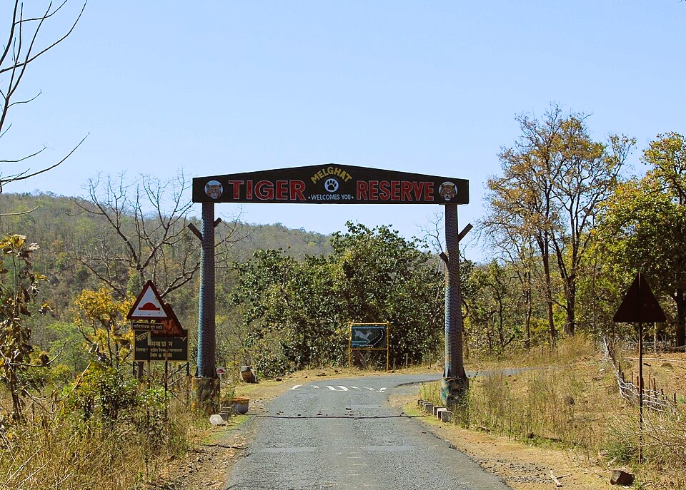 Wild forest landscape in Melghat Tiger Reserve Maharashtra