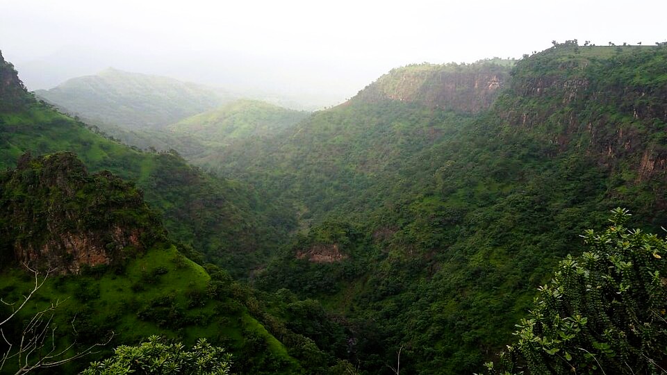 Peaceful forest plateau in the Satpura foothills