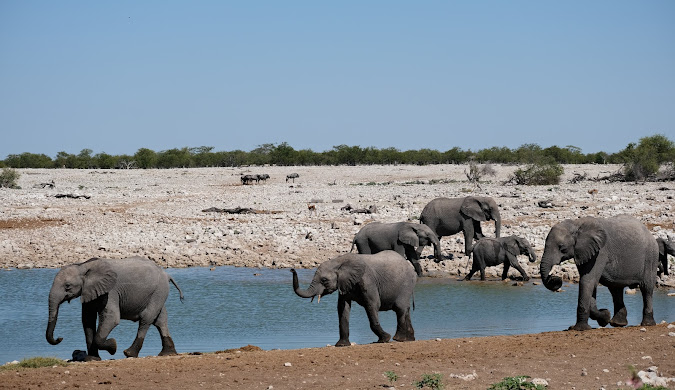 Namibia