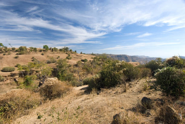 Scenic Satpura ridgelines near Chikhaldara hill station