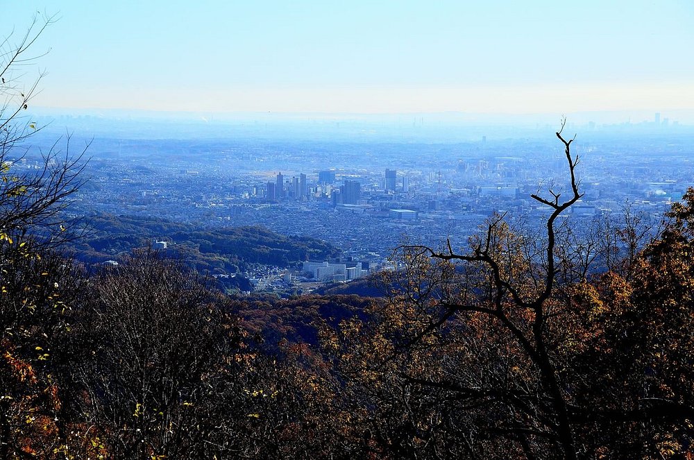 A wide, scenic view of a hazy city skyline and urban plains as seen from a mountain summit, framed by golden autumn tree canopies in the foreground.