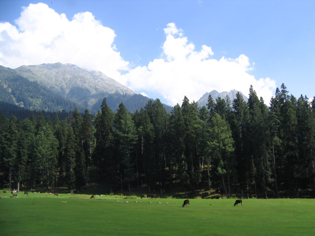 Pahalgam, KASHMIR