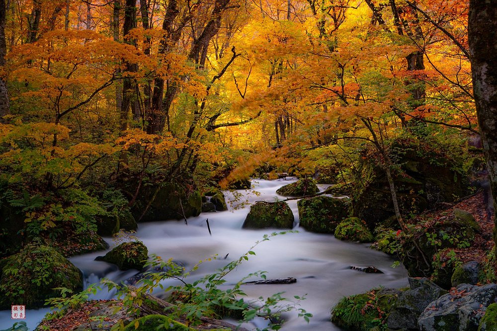 A clear alpine river flowing past white gravel shores in a valley, with green forests and the rugged peaks of the Japanese Alps under a blue sky.