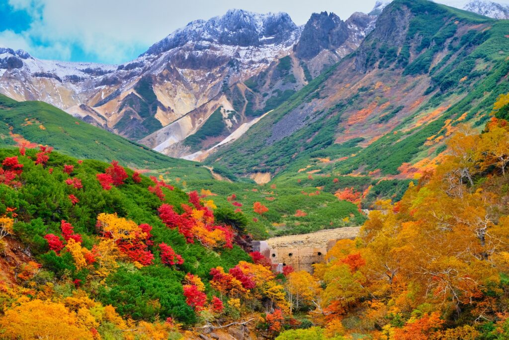 Hokkaido: The Early Autumn