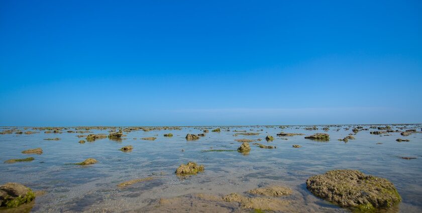 Narara Island, Gujrat