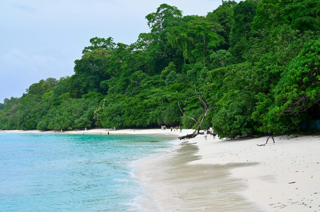 view of a Andaman Island lush, green island with a white sandy beach, surrounded by vibrant turquoise water.