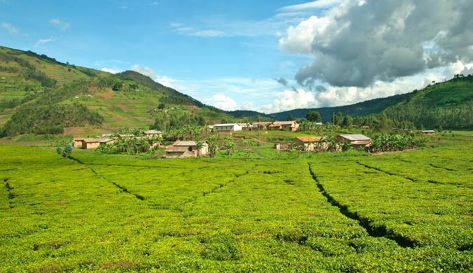 Maya Nord Congo.