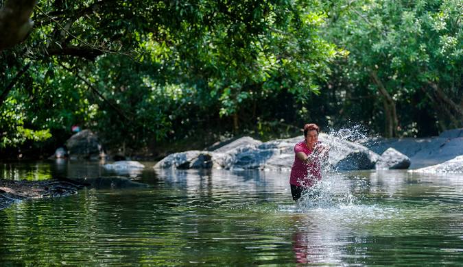 Wayanad. Get travel blog inspiration for your visit to this beautiful island.
