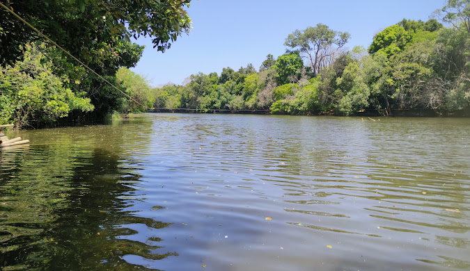 Lush green landscapes and dense forests of Kuruva Island (Kuruvadweep), Wayanad. Get travel blog inspiration for your visit to this beautiful island.