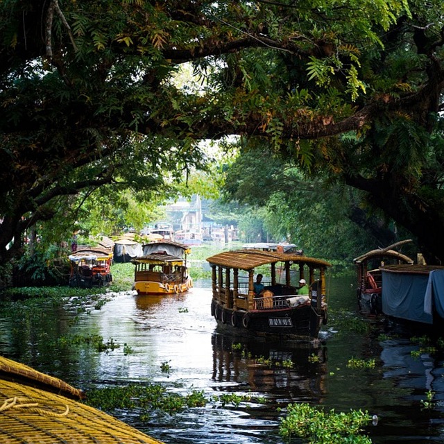 gavi kerala