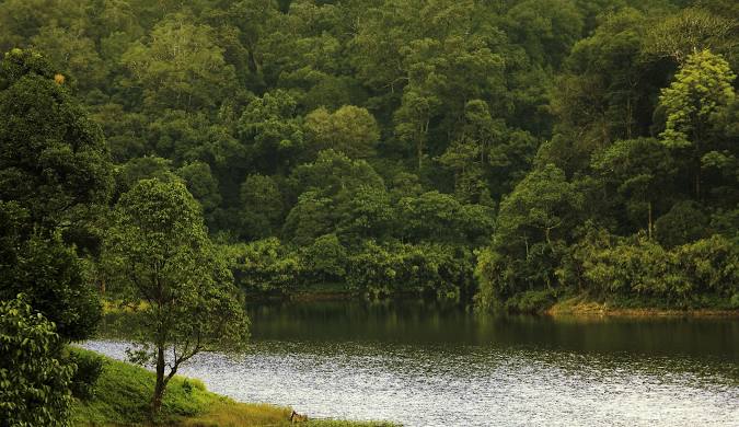 Lush, dense forest enveloping the serene waters of Gavi Lake in Kerala, creating a tranquil and pristine natural setting.