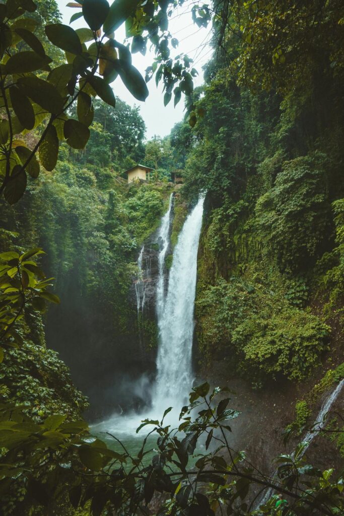 Lush green Tegalalang Rice Terraces in Ubud, Bali, a must-see for first-time visitors.