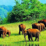 Gavi, Kerala: An In-Depth Eco-Tourism Guide