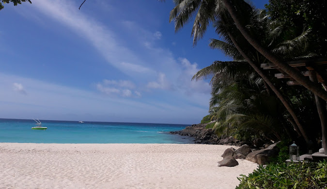 Serene white sand beach in Seychelles, perfect for a peaceful getaway. Turquoise water gently laps the shore, framed by palm trees and granite rocks. Read our travel blog for travel tips and inspiration for your Seychelles vacation.