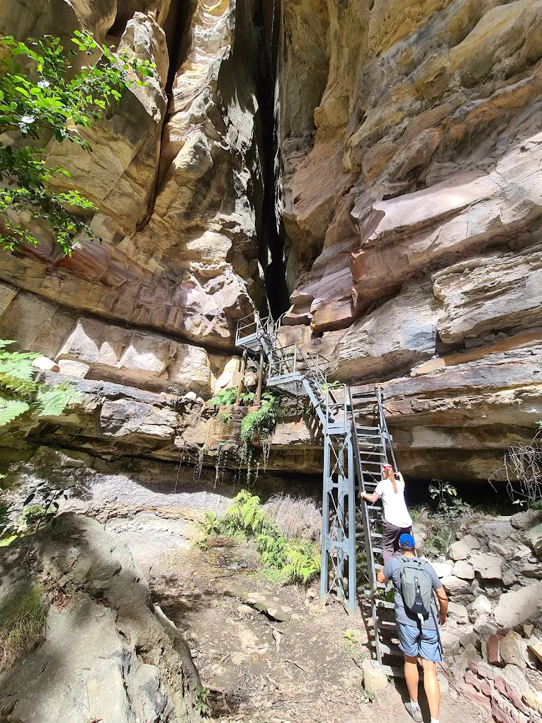 Carnarvon Gorge National Park, Australia