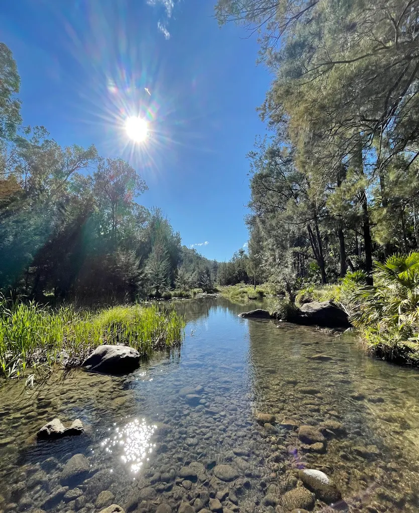 Carnarvon Gorge National Park, Australia