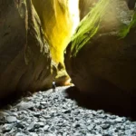 Carnarvon Gorge National Park – An Oasis in the Outback
