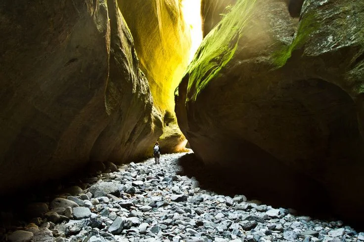 Discover Carnarvon Gorge National Park in Central Queensland—an oasis of sandstone cliffs, Aboriginal rock art, hiking trails, and wildlife. Plan your perfect trip with this comprehensive 2024 guide including best hikes, camping info, and travel tips.