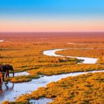 Unforgettable Okavango Delta Safari Experiences