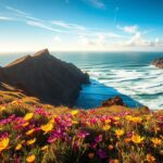 What Makes Namaqualand So Famous?