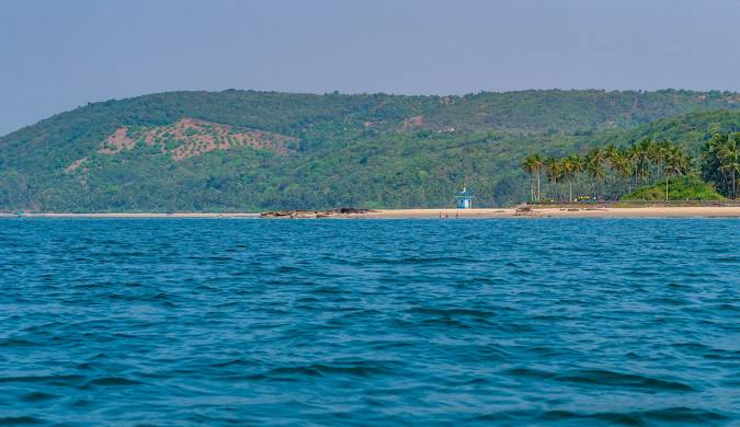 things to do in tarkarli

