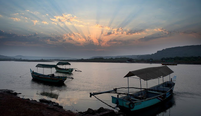 things to do in tarkarli

