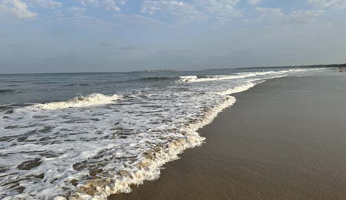 things to do in tarkarli

