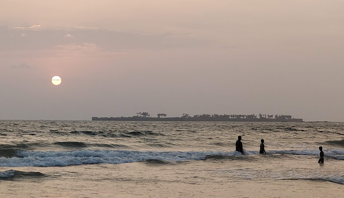 things to do in tarkarli


