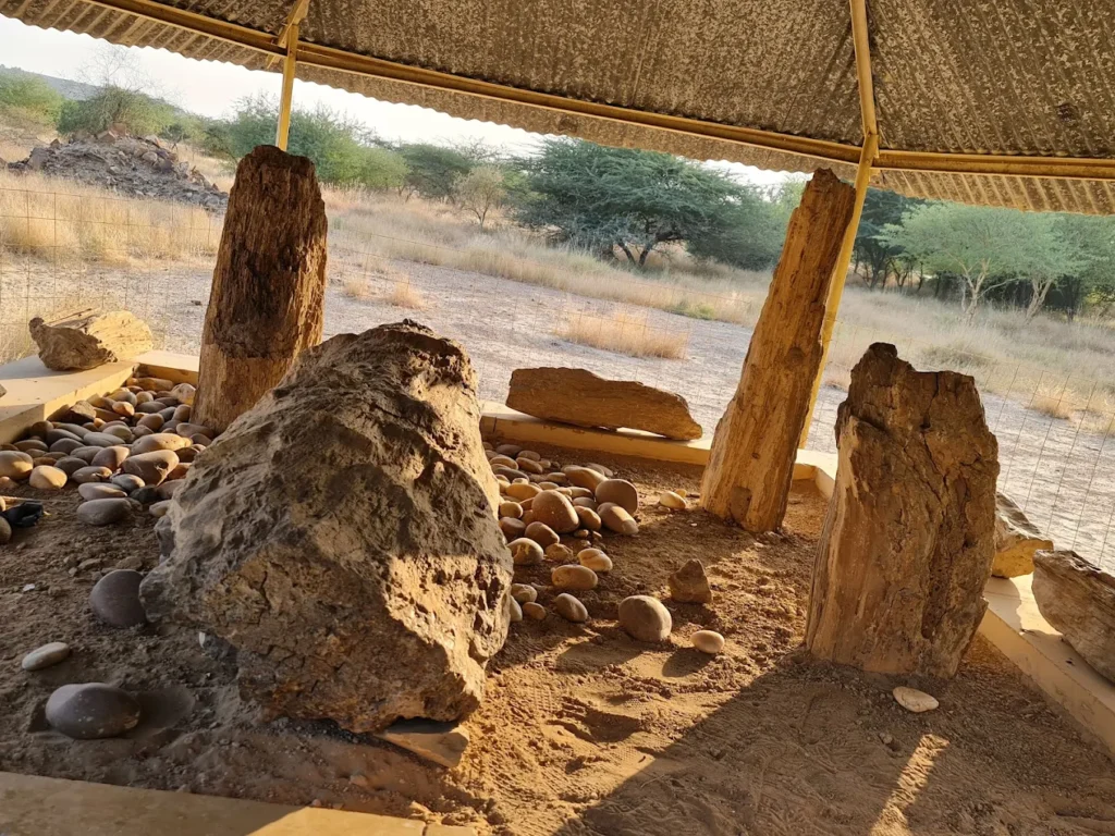 Akal Wood Fossil Park
