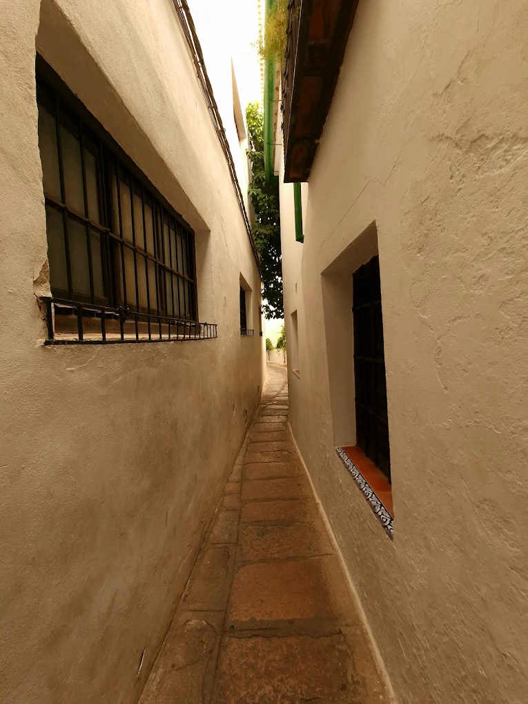 Calleja Pañuelo