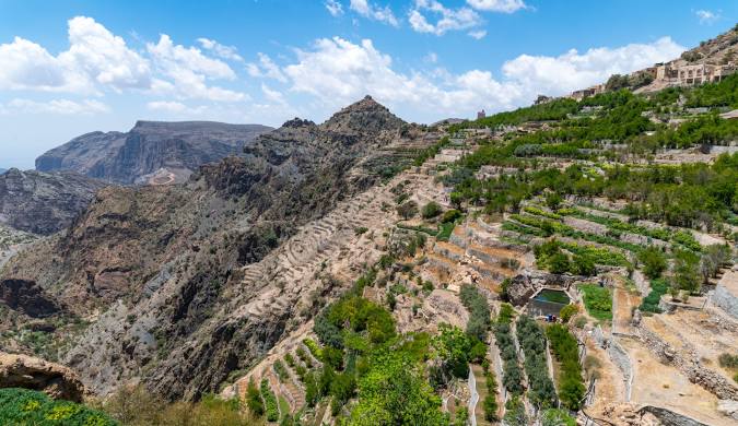 Jebel Akhdar's Green Terraces, Oman