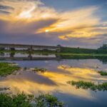Discover Majuli Island: Heritage, Nature, & Hidden Gems of the World’s Largest River Island
