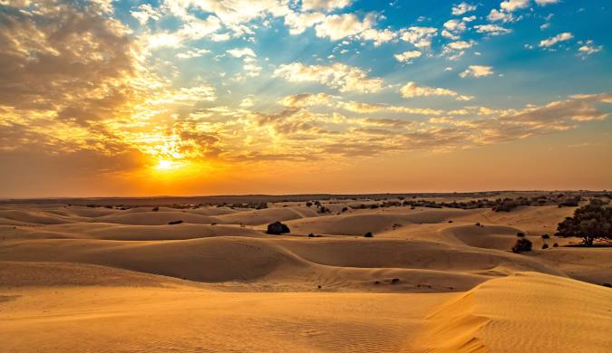Thar Desert