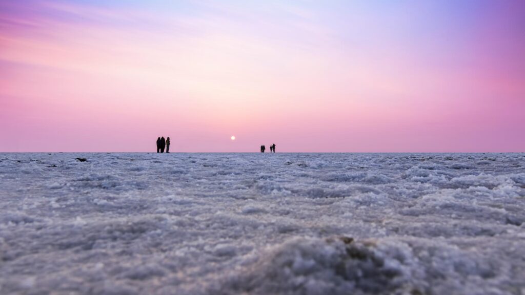 White Salt Desert Experience, Rann of Kutch Festival