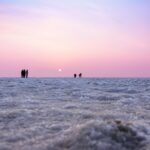 Is Rann Utsav Worth Visiting? A Complete Guide to the Festival