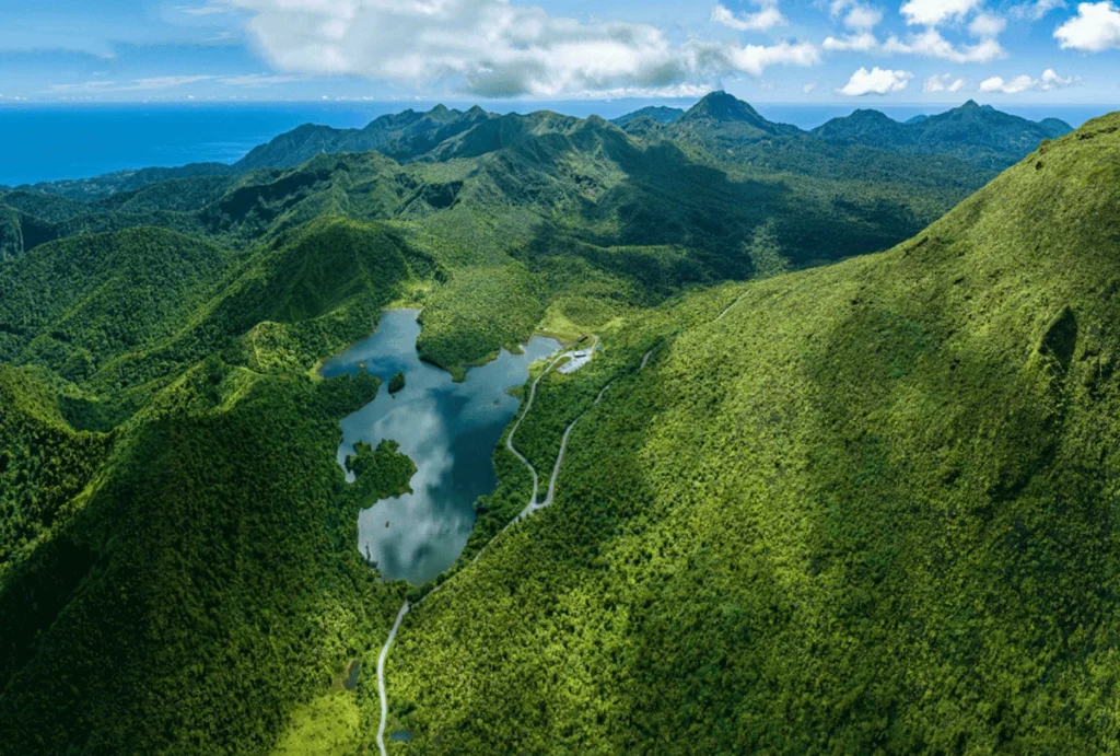 Rainforest trail Waitukubuli Dominica