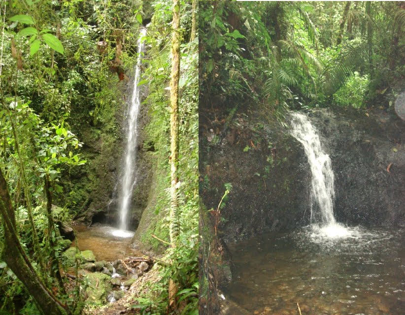 beautiful Salento Colombia waterfall hot springs experiences
