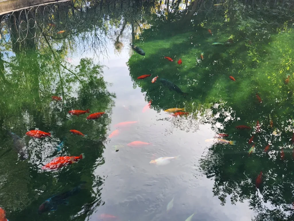 National Garden's Hidden Ruins, Athens Greece
