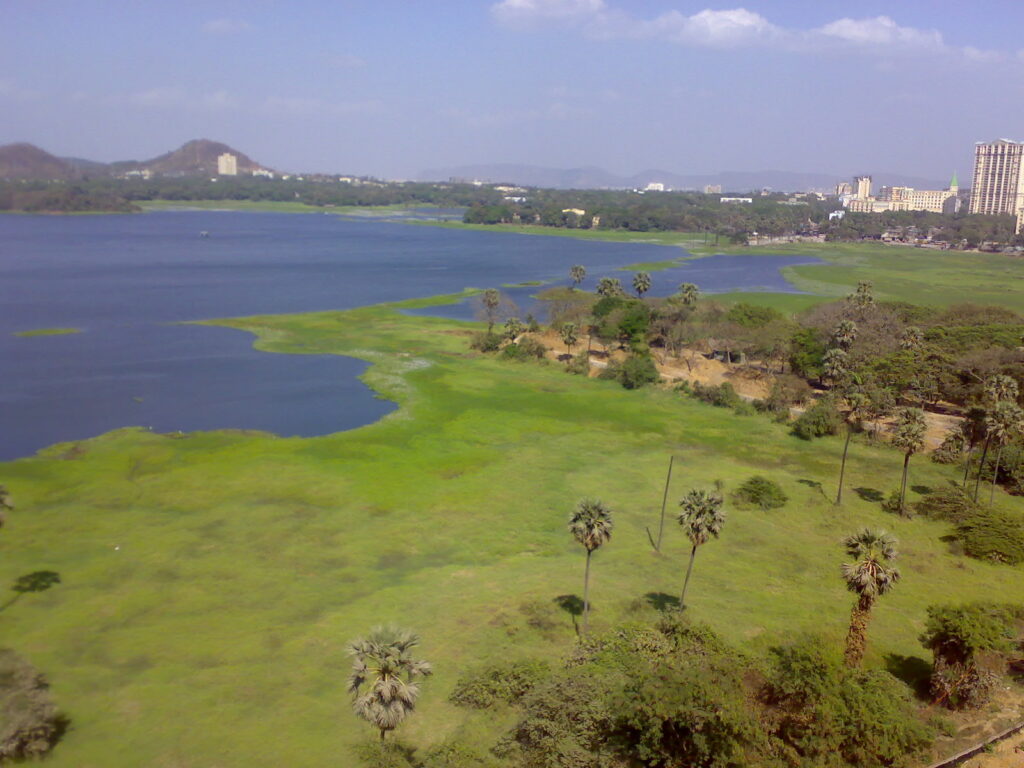 Powai Lake, Mumbai