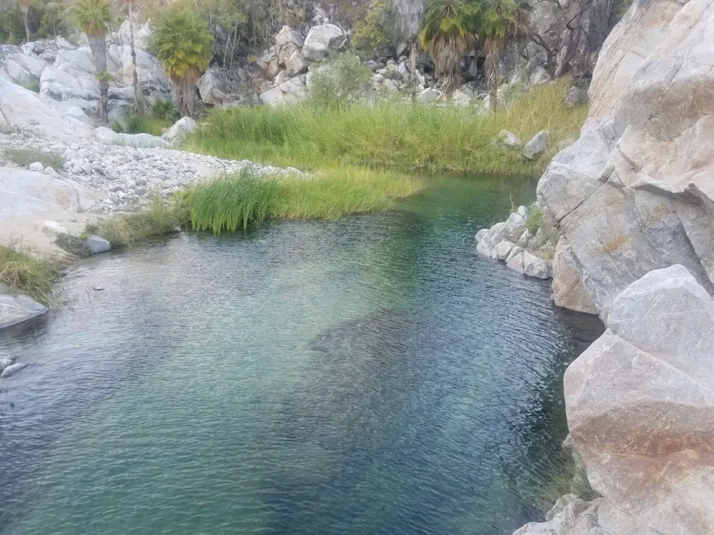 beautiful Salento Colombia waterfall hot springs experiences