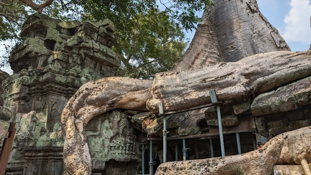 Ta Prohm, Siem Reap
