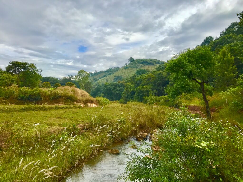 Lambasingi Trek and Nature Walks