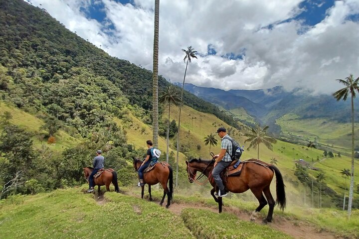 Horse riding Salento Colombia tours offer a gentler way to explore Valle de Cocora