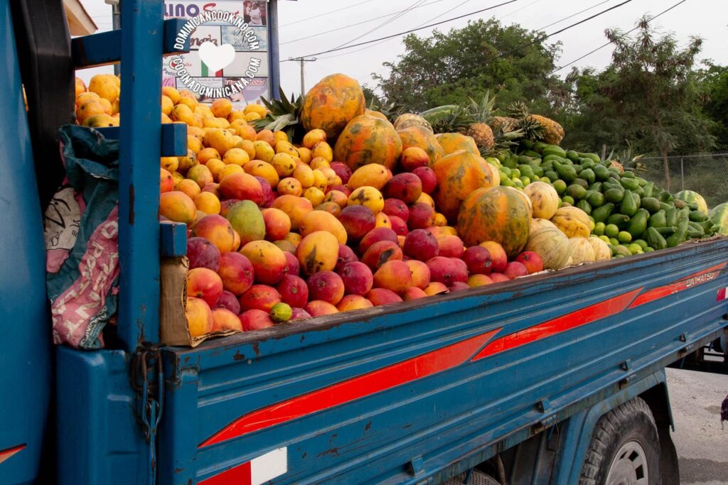Tropical fruit market Dominica